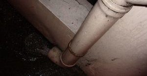 Water Damage And Mold Infestation Due To Faulty Downspout
