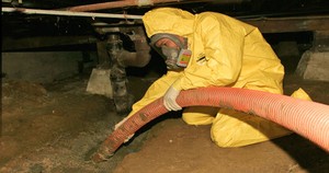Water Damage and Mold Restoration Technician In Crawlspace