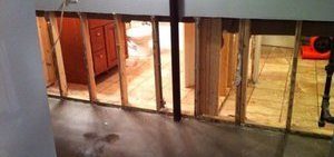 Wall Restoration From Mold Damage